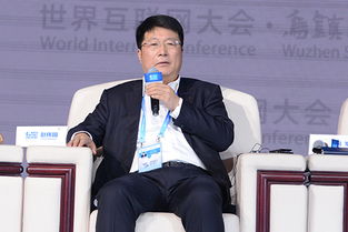 紫光集团原董事长赵伟国被判死缓，行业震动，高层变动引发深思