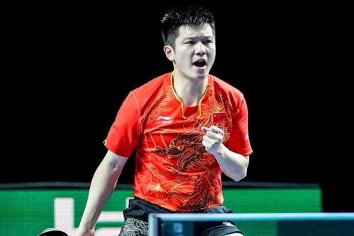18万人口德国小城为何成为樊振东的第二故乡