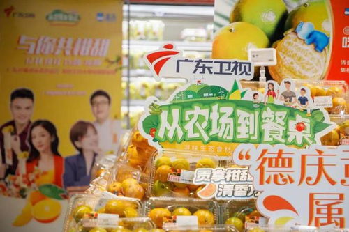 百万粉丝博主回乡创业，打造乡村特色面包店，引领乡村振兴新潮流